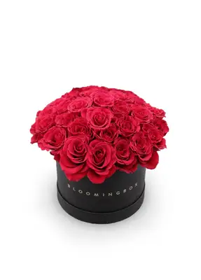 Flower red preview