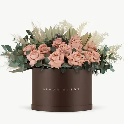 Petra Rose Brown preview