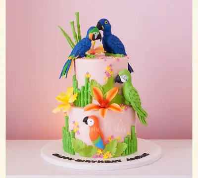 House of cakes preview